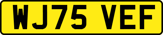 WJ75VEF