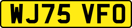 WJ75VFO