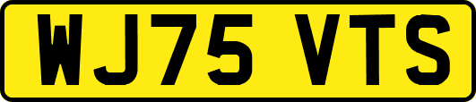 WJ75VTS