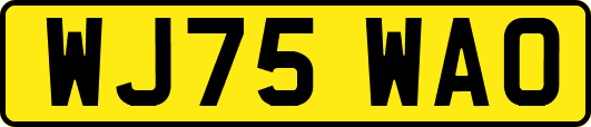 WJ75WAO