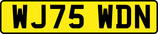 WJ75WDN
