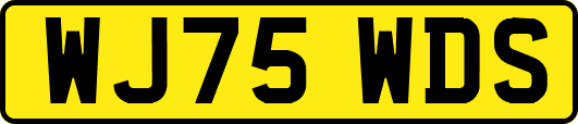 WJ75WDS