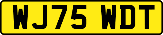 WJ75WDT