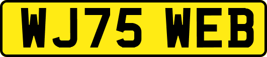 WJ75WEB