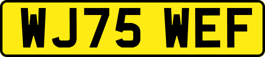 WJ75WEF