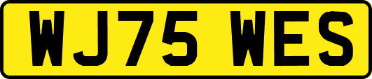 WJ75WES