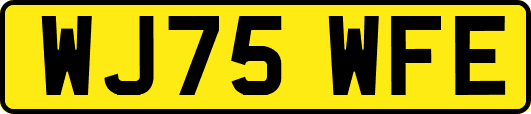 WJ75WFE