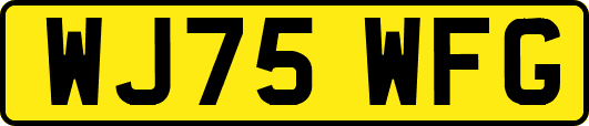 WJ75WFG