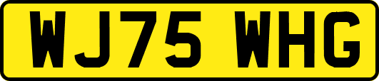 WJ75WHG