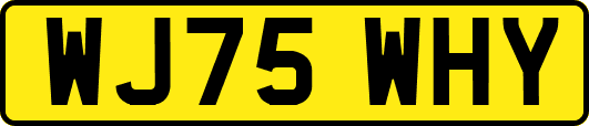 WJ75WHY