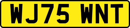 WJ75WNT