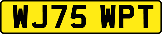 WJ75WPT