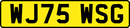 WJ75WSG