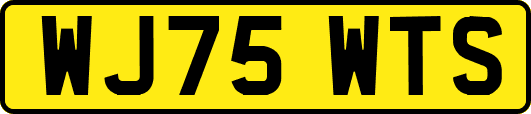 WJ75WTS