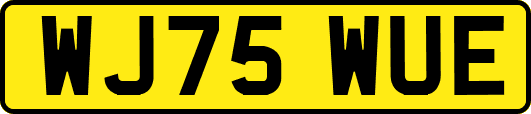 WJ75WUE