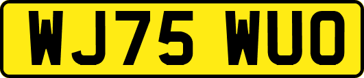 WJ75WUO