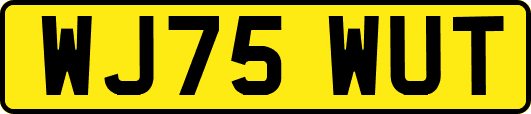WJ75WUT