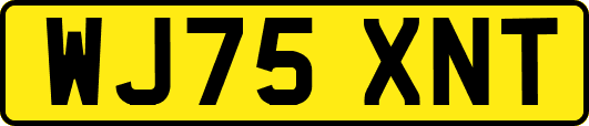 WJ75XNT