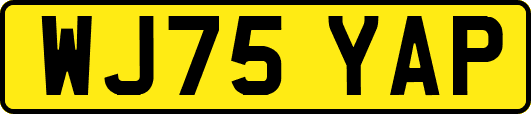 WJ75YAP
