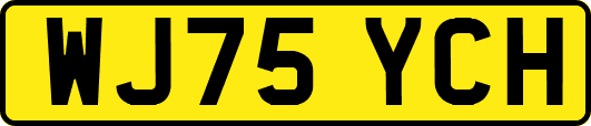 WJ75YCH