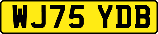 WJ75YDB