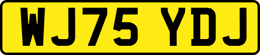 WJ75YDJ