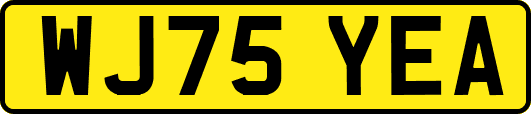 WJ75YEA