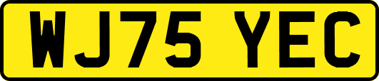 WJ75YEC