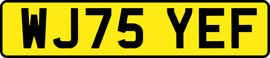 WJ75YEF