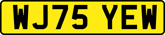 WJ75YEW