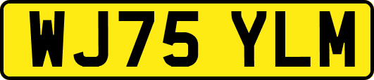 WJ75YLM