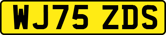 WJ75ZDS