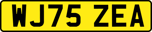 WJ75ZEA