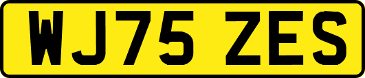 WJ75ZES