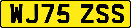 WJ75ZSS