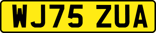 WJ75ZUA