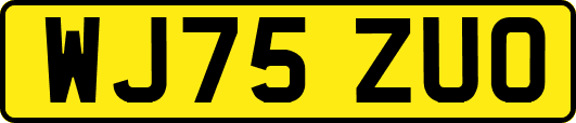 WJ75ZUO
