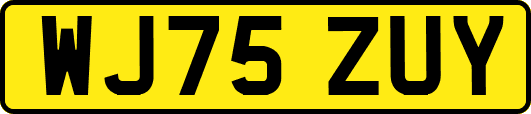 WJ75ZUY