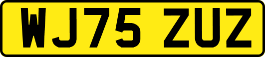 WJ75ZUZ