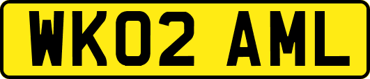 WK02AML