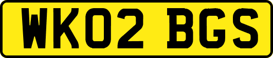 WK02BGS