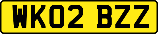 WK02BZZ