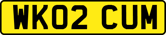 WK02CUM