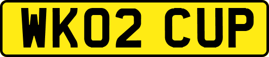 WK02CUP