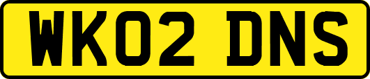 WK02DNS