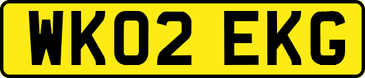 WK02EKG