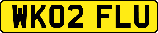 WK02FLU