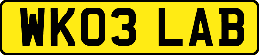 WK03LAB