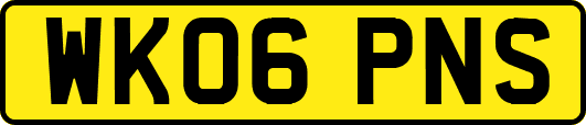 WK06PNS