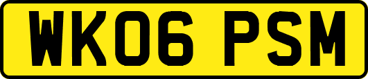 WK06PSM
